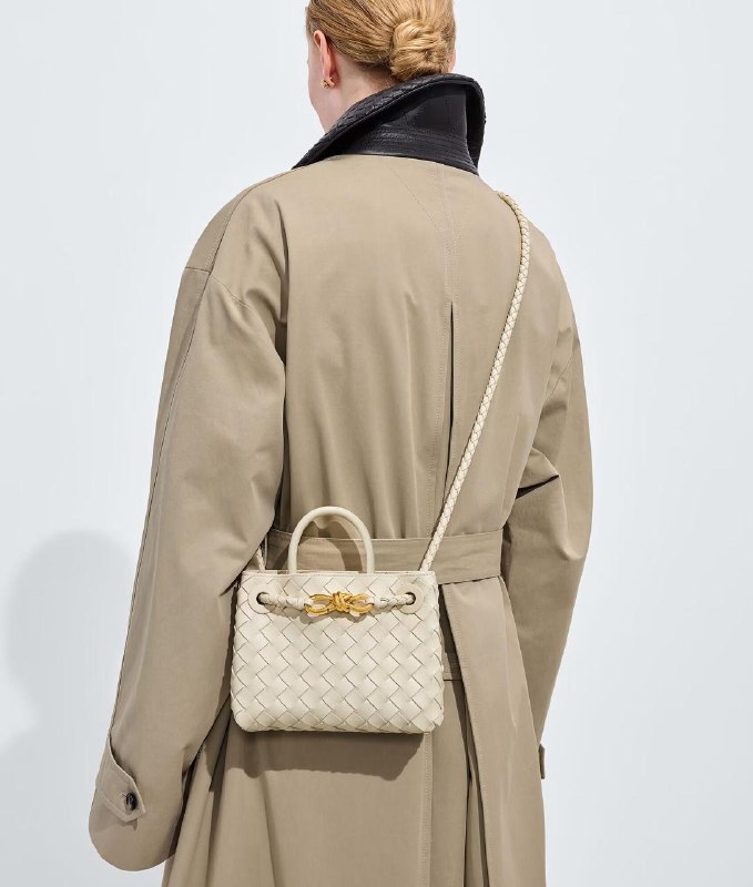 Bottega Veneta Mini Andiamo & Small Andiamo