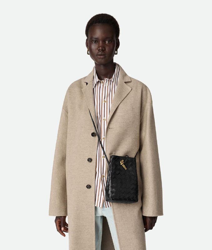 Bottega Veneta Andiamo Phone Pouch