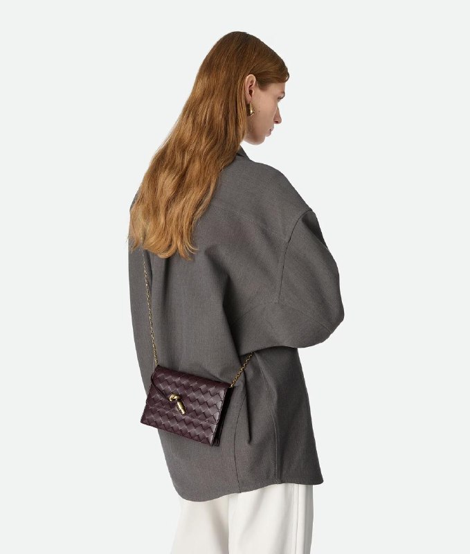 Bottega Veneta Andiamo pouch on chain